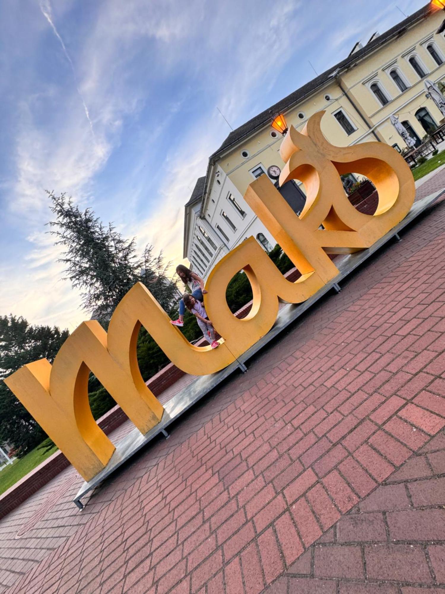 Hotel Pensiunea Schwartzy Makó Exterior foto