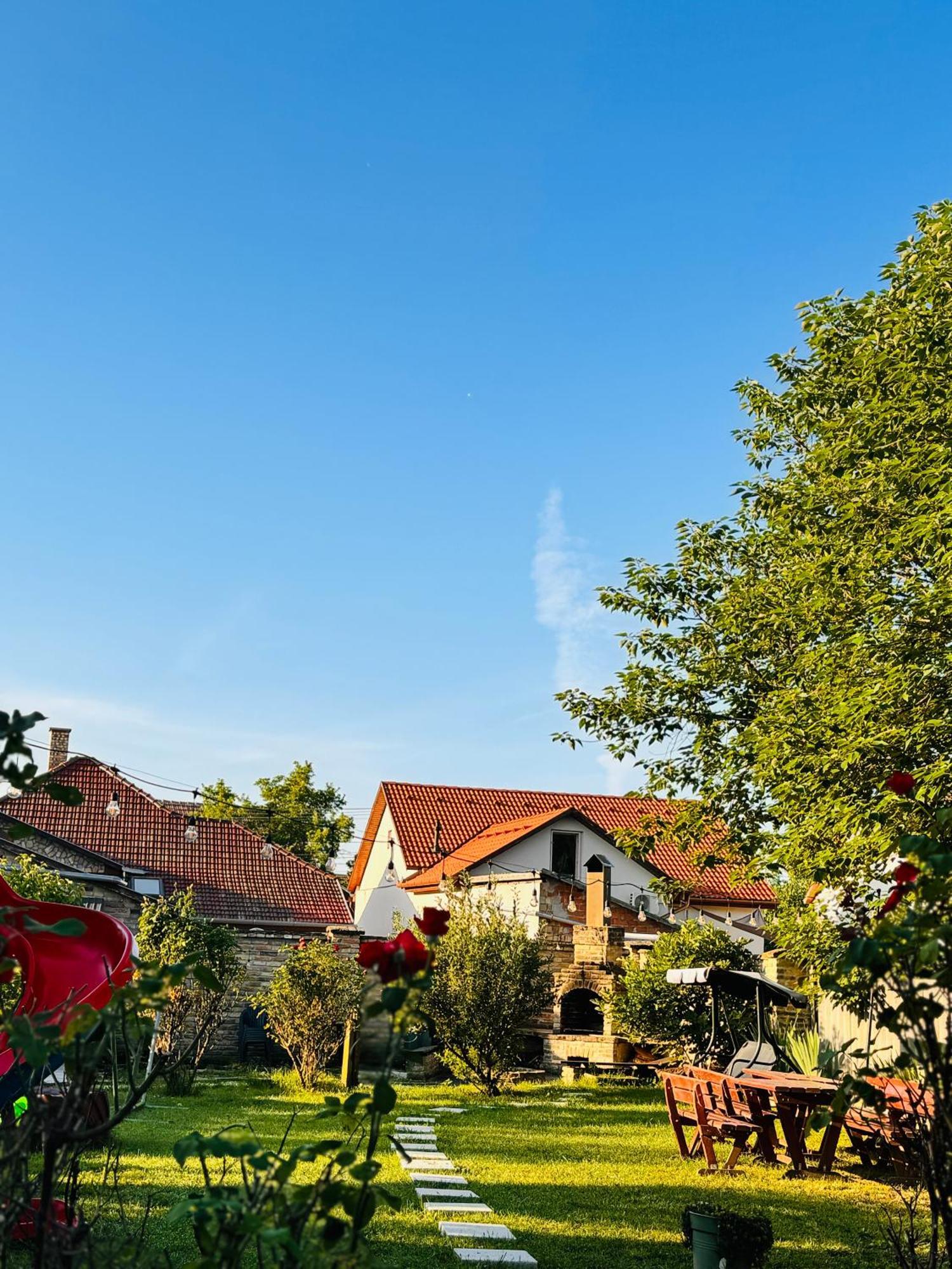 Hotel Pensiunea Schwartzy Makó Exterior foto